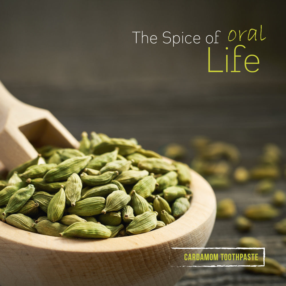 Bentodent Cardamom Toothpaste (Twin Pack) - 100 gm each - Indian Dental Organization