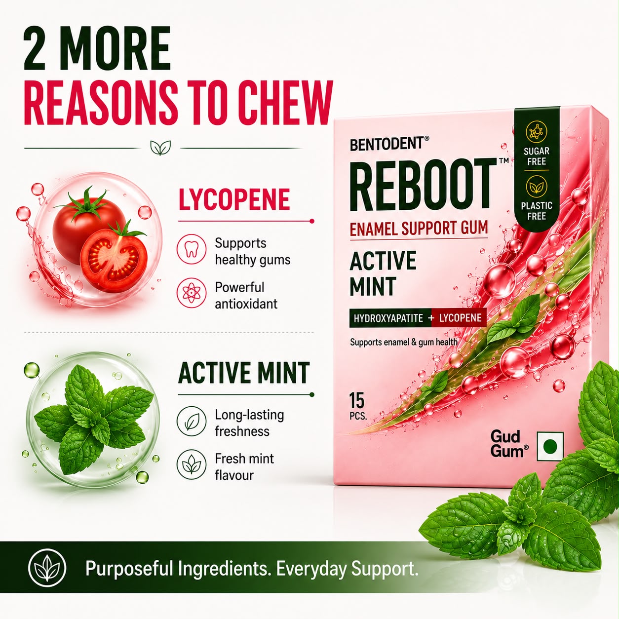 Bentodent Enamel Support Cosmetic Tooth Gum - Active Mint + Lemon Mint (Pack of 2)