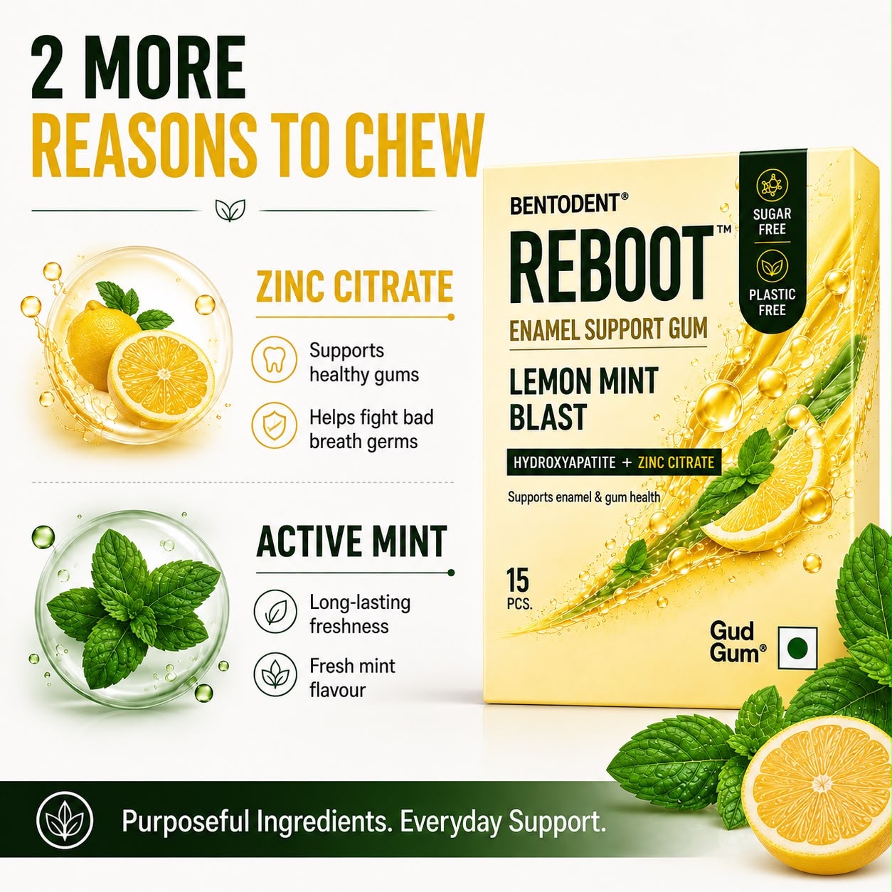 Bentodent Enamel Support Cosmetic Tooth Gum - Active Mint + Lemon Mint (Pack of 2)