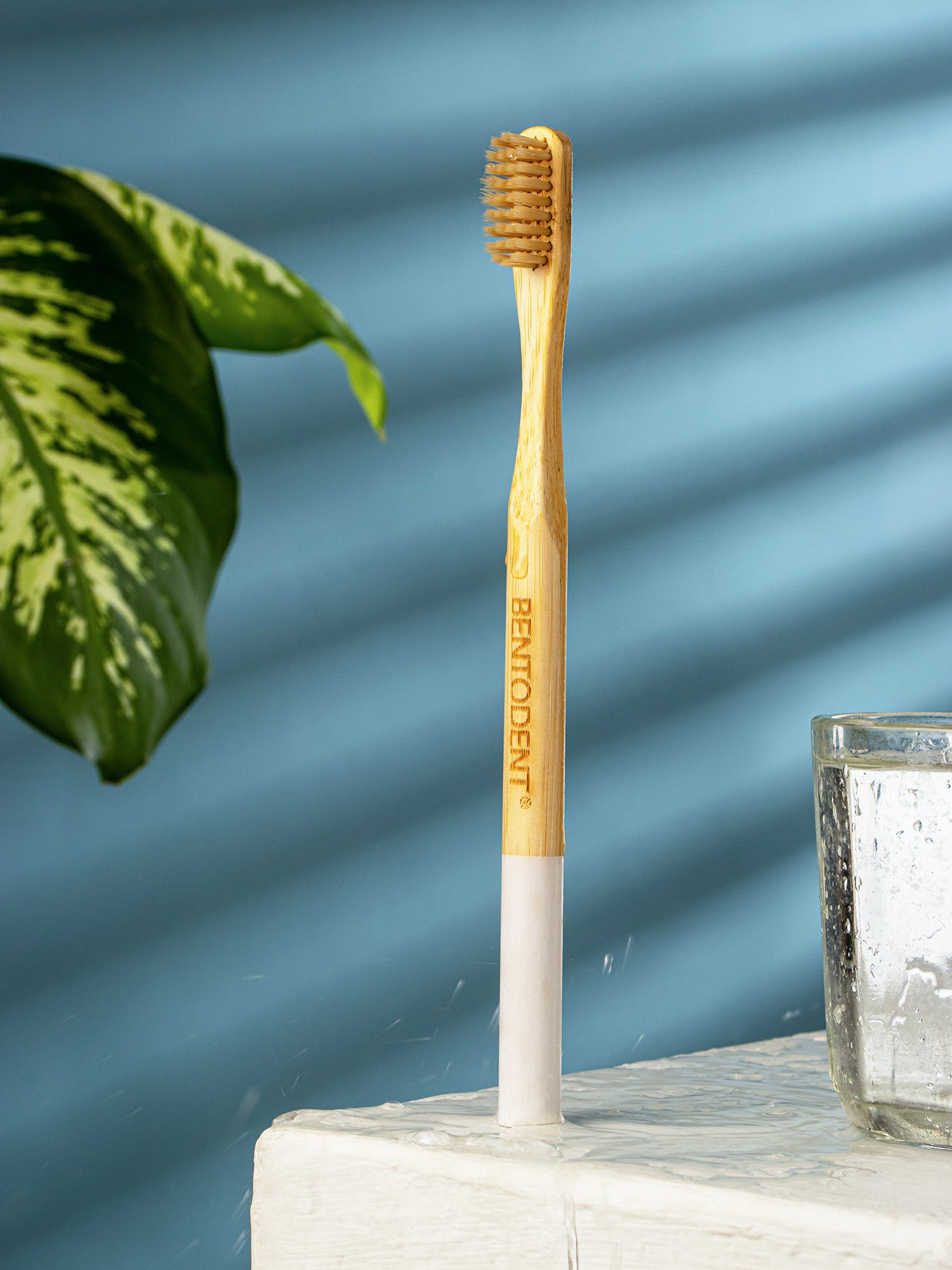 Bentodent Eco Brush Bamboo Toothbrush (non - charcoal) - Ultra Soft - Indian Dental Organization