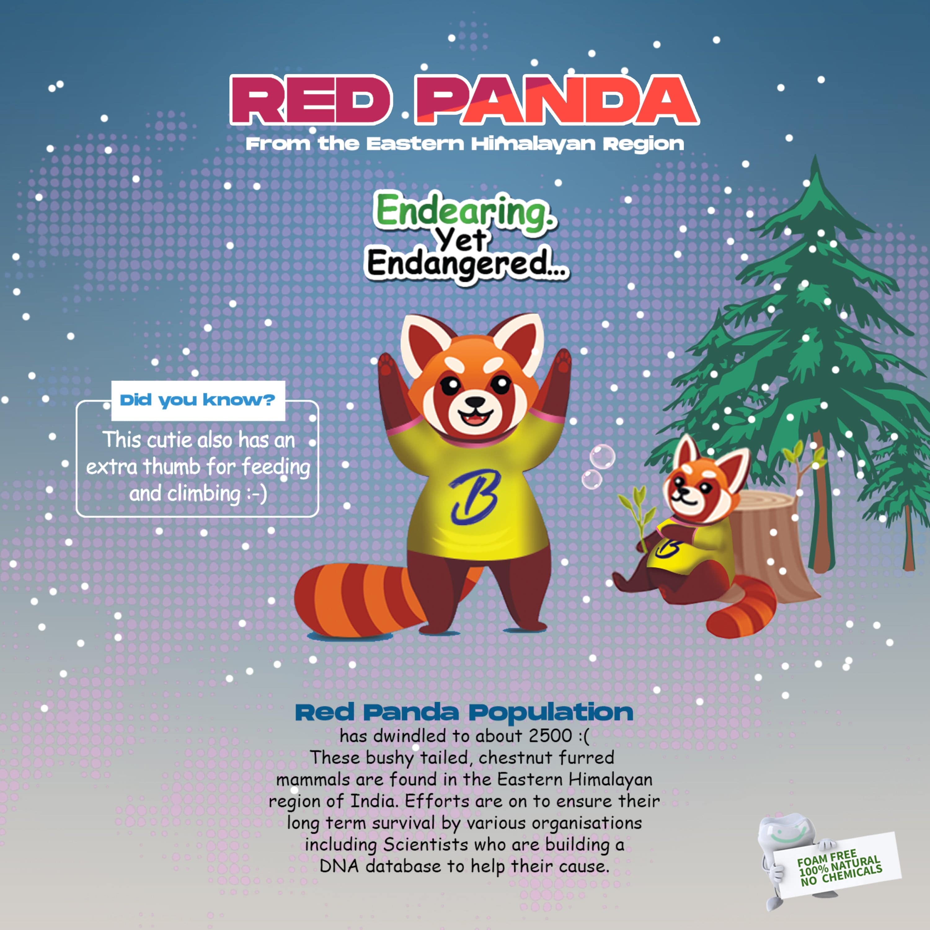 Bentodent Junior Bubbly Burst Toothpaste - Natural & Fluoride Free - bentodent x idonaturals