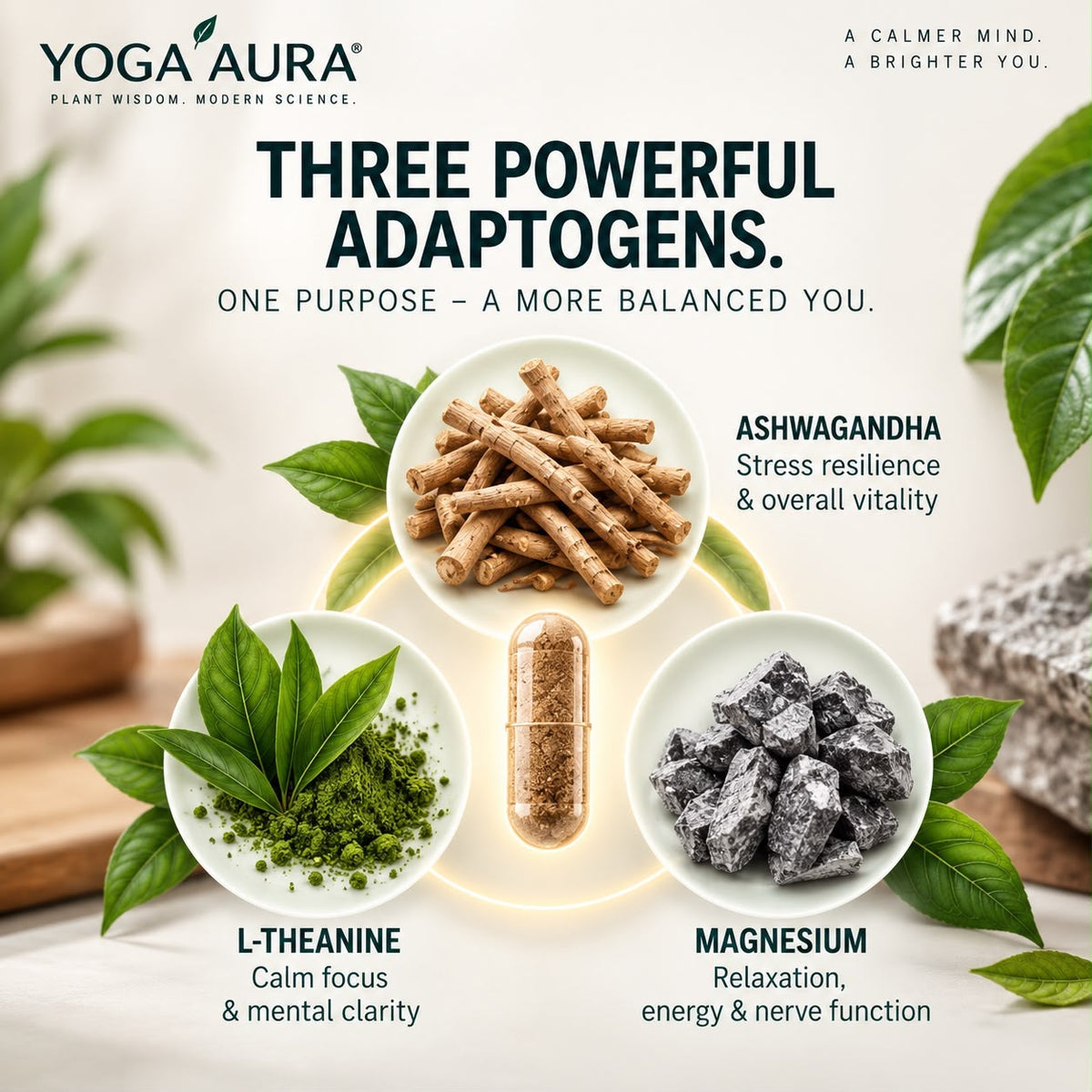 Yoga Aura Ashwagandha + L-Theanine + Magnesium Tri-Formula Capsules | Calm Focus & Relaxation Support