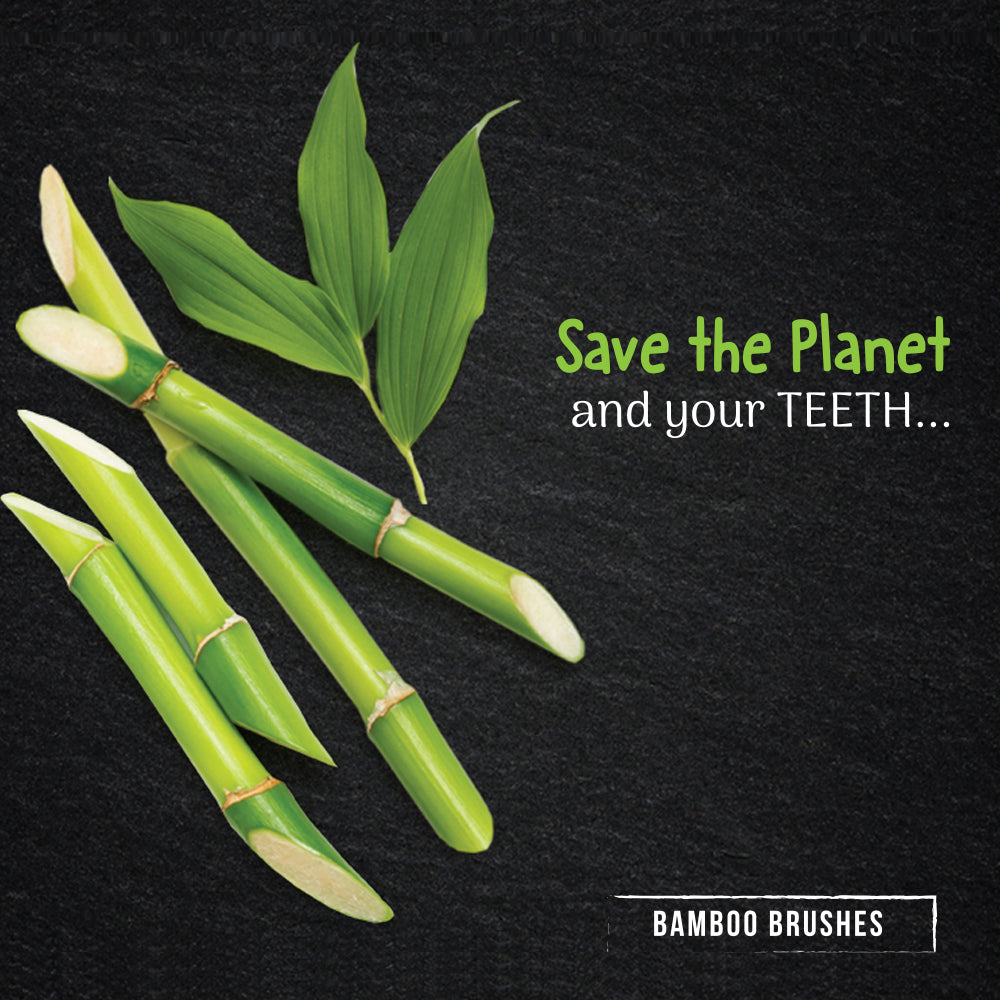 Bentodent Eco Brush Bamboo Toothbrush (non - charcoal) - Ultra Soft - Indian Dental Organization