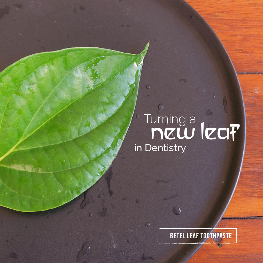 Bentodent Betel Leaf Organic Toothpaste - SLS Free - 100 gm - Indian Dental Organization