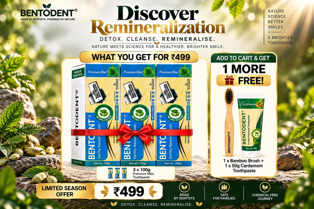 Bentodent Premium Mint Herbal Toothpaste | SLS Free & Fluoride Free | Daily Oral Care