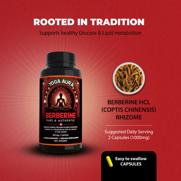 Yoga Aura 100% Pure Berberine – 500 mg of clinically studied berberine HCl, Lab tested, non-GMO & vegan