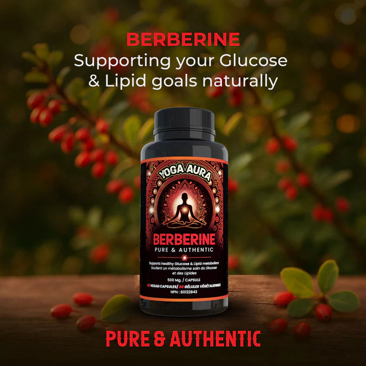 Yoga Aura 100% Pure Berberine – 500 mg of clinically studied berberine HCl, Lab tested, non-GMO & vegan